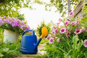 Fazenda trabalhador jardinagem ferramentas. azul plástico rega pode para irrigação plantas colocada dentro jardim com flores em canteiro de flores e vaso de flores em ensolarado verão dia. jardinagem passatempo agricultura conceito. foto