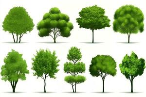 uma coleção do diferente tipos do árvores generativo ai foto