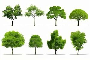 uma coleção do diferente tipos do árvores generativo ai foto