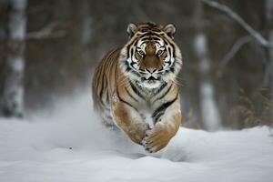 uma tigre corrida através a neve. generativo ai foto