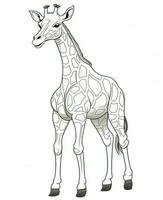 uma girafa é em pé dentro uma linha em uma branco fundo. generativo ai foto