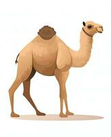 uma camelo é em pé em uma branco fundo. generativo ai foto