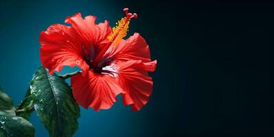 macro hibisco flor cópia de espaço, ai generativo foto