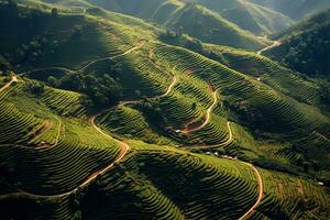 café plantações do sul América com uma Horizonte com montanhas dentro a fundo , generativo ai foto