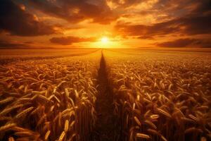 dourado trigo campo e dia luz , generativo ai foto