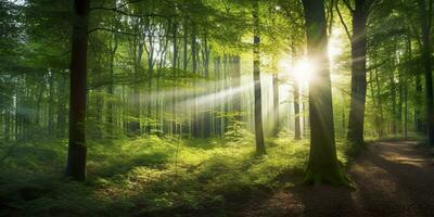 lindo raios do luz solar dentro uma verde floresta. generativo ai foto