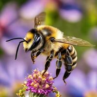 vôo querida abelha colecionar pólen às flor. ai gerado foto