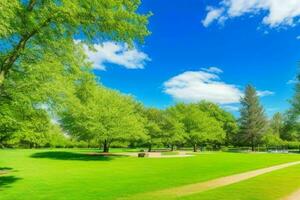 lindo panorama parque com árvores e Sol. colorida folhagem dentro a parque. ai generativo pró foto