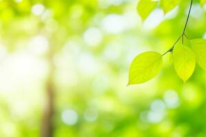 terra dia e mundo meio Ambiente dia, lindo folhas. ai generativo pró foto