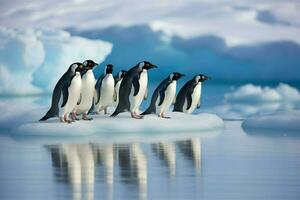 uma grupo do pinguins em a gelo estante foto