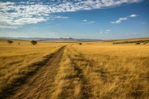 a savana pastagens alongamento para milhas foto