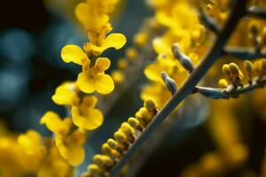 uma fechar acima do uma dna estrutura com amarelo flores foto