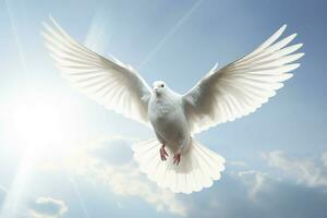 uma branco pomba é vôo dentro a céu com Está asas foto