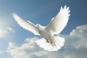 uma branco pomba é vôo dentro a céu com Está asas foto