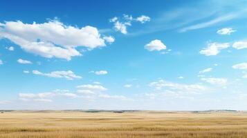 uma ângulo amplo tiro do uma deslumbrante pradaria panorama com espaço para texto, exibindo Está vastidão e natural beleza, com uma Claro céu fornecendo amplo espaço para texto colocação. ai gerado foto