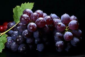 uvas imagem hd foto