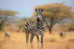 nacional animal do Zimbábue foto