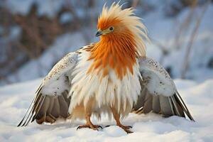 nacional pássaro do Quirguistão foto