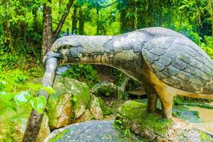 águia tar nim cachoeira jardim mágico secreto koh samui Tailândia. foto