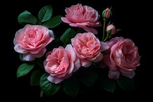 rosas cor de rosa em um fundo preto foto