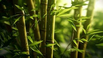 bambu é uma plantar este é usava dentro muitos maneiras foto