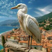 nacional pássaro do Itália Alto qualidade 4k ultra hd foto