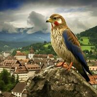 nacional pássaro do liechtenstein Alto qualidade 4k você foto