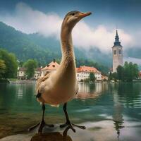 nacional pássaro do eslovénia Alto qualidade 4k ultra foto
