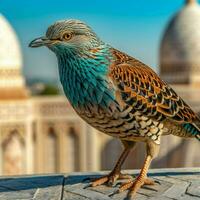 nacional pássaro do uzbequistão Alto qualidade 4k ultra foto