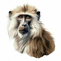 babuíno 2d desenho animado vetor ilustração em branco fundo foto