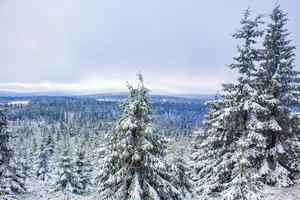 paisagem de floresta de inverno na montanha brocken, harz, alemanha foto