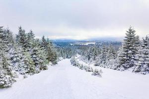 paisagem de floresta de inverno na montanha brocken, harz, alemanha foto
