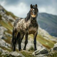 foto do cavalo cheio tiro Alto qualidade hdr 16k ultra hd