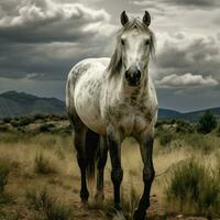 foto do cavalo cheio tiro Alto qualidade hdr 16k ultra hd