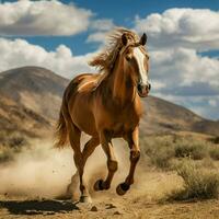 foto do cavalo cheio tiro Alto qualidade hdr 16k ultra hd