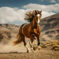 foto do cavalo cheio tiro Alto qualidade hdr 16k ultra hd