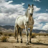 foto do cavalo cheio tiro Alto qualidade hdr 16k ultra hd