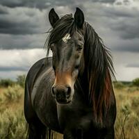 foto do cavalo cheio tiro Alto qualidade hdr 16k ultra hd