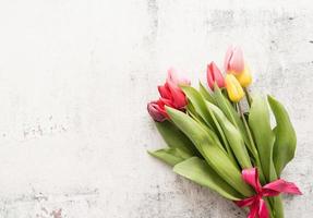 bando de tulipas da primavera sobre fundo branco foto
