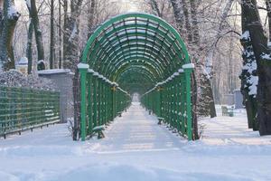 arco de treliça verde no parque com jardim de verão em um beco em São Petersburgo foto