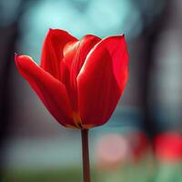 uma fechar-se do a cativante vermelho lírio pétalas ,ai gerado foto