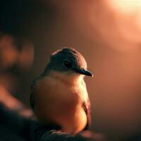 ampliado em a luminoso plumagem do a indiano rolo pássaro dentro luz solar ,ai gerado foto