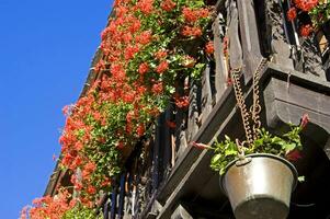 uma de madeira cerca com flores suspensão a partir de isto foto