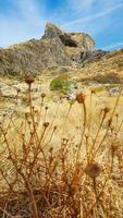 vegetação e montanhas rochosas na grécia foto