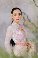 lindo tailandês menina dentro tailandês tradicional fantasia.noiva tailandês menina lindo. foto