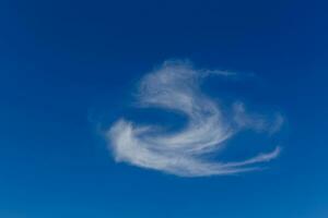 solteiro lindo nuvem do bizarro forma foto