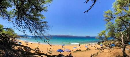 lindo maui verão dia com uma ângulo amplo Visão do pequeno de praia. foto