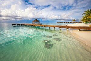 fantástico de praia panorama com picada raios e tubarões dentro verde azul lagoa dentro luxo ilha recorrer hotel, Maldivas de praia e animais selvagens. tropical paraíso Visão e verão período de férias ou turista destino foto