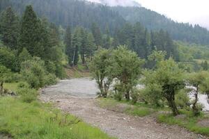 cênico Visão do a natural beleza do tao bunda, Neelum vale, caxemira. tao bunda é famoso para Está exuberante verde árvores e natural beleza. foto