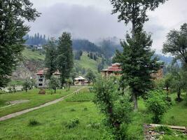 cênico Visão do a natural beleza do tao bunda, Neelum vale, caxemira. tao bunda é famoso para Está exuberante verde árvores e natural beleza. foto